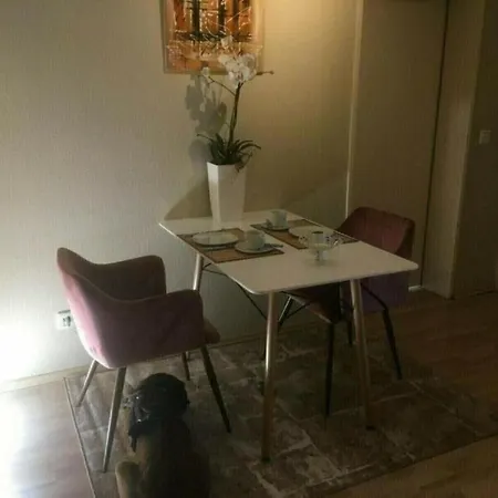 아파트 Wiesenglueck In Direkter Naehe Zum Krankenhaus *